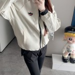 신상품 현물품번 3856, 모델