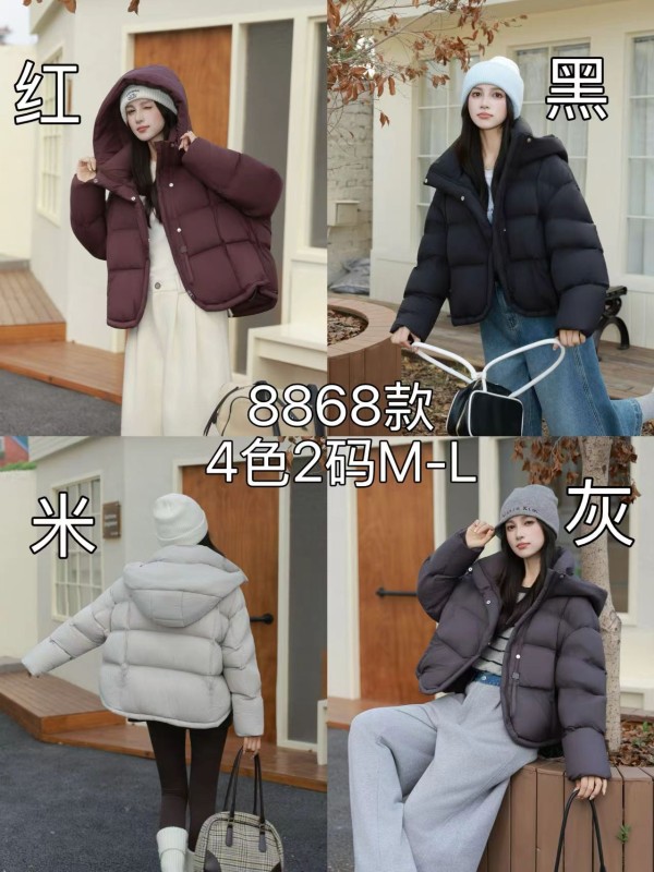 쟈싱 핑후 패딩